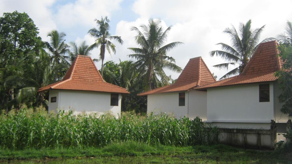 Mahanadewi Villa Ubud Exterior foto